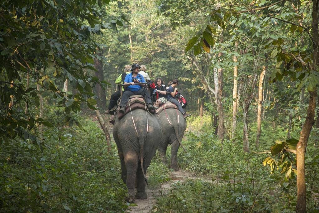 Green Mansions Jungle Resort Sauraha Exterior foto