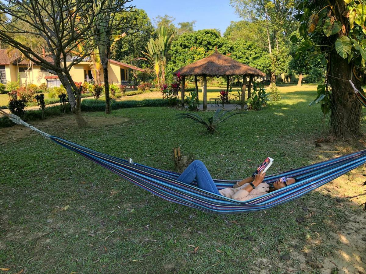 Green Mansions Jungle Resort Sauraha Exterior foto